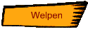 Welpen