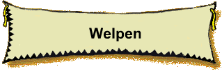 Welpen